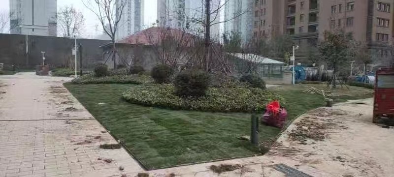 江蘇豐縣公園壹號小區(qū)園林綠化施工圖